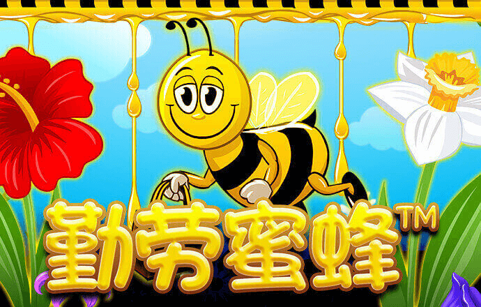 海德体育官网